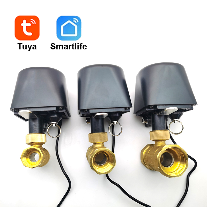 Home Assistant Tuya - Tuya WiFi or Zigbee Water Valve
