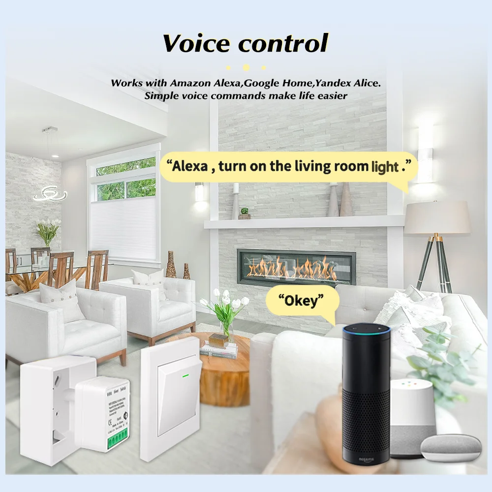 For Tuya Mini Smart WiFi Switc - Home Assistant Tuya review and price