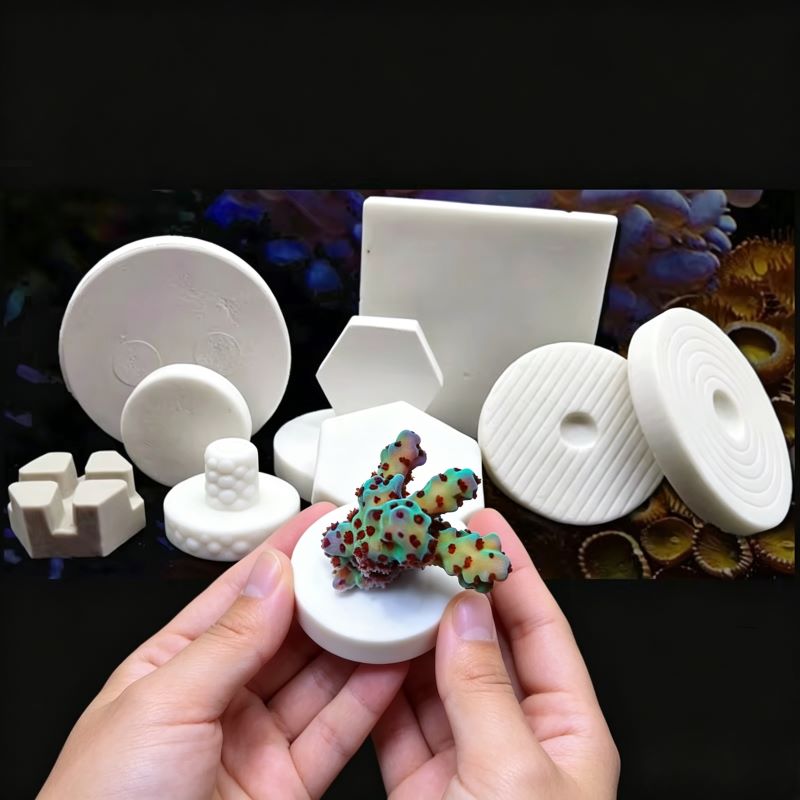 SPS Ceramic Coral Frag Plugs B - Shelly Plug review and price