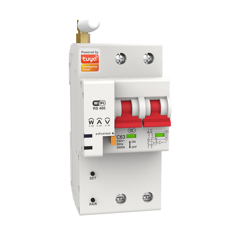 Smart Wifi Circuit Breaker 2P  - Tuya Smart review and price